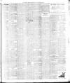 Weekly Freeman's Journal Saturday 08 May 1886 Page 8