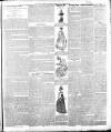 Weekly Freeman's Journal Saturday 21 August 1886 Page 11