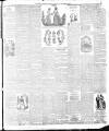 Weekly Freeman's Journal Saturday 21 January 1888 Page 10