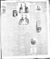 Weekly Freeman's Journal Saturday 09 June 1888 Page 11