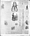 Weekly Freeman's Journal Saturday 23 June 1888 Page 10