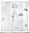 Weekly Freeman's Journal Saturday 28 July 1888 Page 11