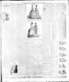Weekly Freeman's Journal Saturday 08 September 1888 Page 11