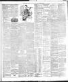 Weekly Freeman's Journal Saturday 26 July 1890 Page 11