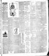 Weekly Freeman's Journal Saturday 17 January 1891 Page 11