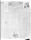 Weekly Freeman's Journal Saturday 17 April 1897 Page 11