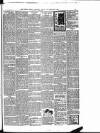 Weekly Freeman's Journal Saturday 18 June 1898 Page 35