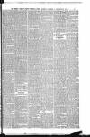 Weekly Freeman's Journal Saturday 10 December 1898 Page 20