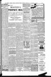 Weekly Freeman's Journal Saturday 10 December 1898 Page 33