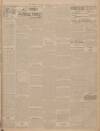 Weekly Freeman's Journal Saturday 01 January 1910 Page 15