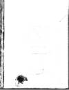 Weekly Freeman's Journal Saturday 15 October 1910 Page 10