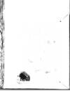 Weekly Freeman's Journal Saturday 31 December 1910 Page 10