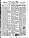 Weekly Freeman's Journal Saturday 28 June 1913 Page 12