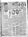 Weekly Freeman's Journal Saturday 19 July 1913 Page 16