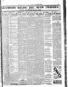 Weekly Freeman's Journal Saturday 02 August 1913 Page 12