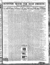 Weekly Freeman's Journal Saturday 11 April 1914 Page 13