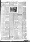 Weekly Freeman's Journal Saturday 29 August 1914 Page 6