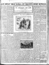 Weekly Freeman's Journal Saturday 13 November 1915 Page 3