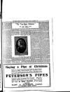 Weekly Freeman's Journal Saturday 06 December 1919 Page 17