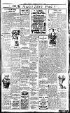 Weekly Freeman's Journal Saturday 31 January 1920 Page 3