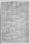 Waterford Citizen Tuesday 04 July 1871 Page 3