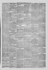 Waterford Citizen Friday 21 July 1871 Page 3