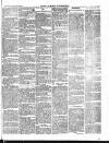 Tower Hamlets Independent and East End Local Advertiser Saturday 25 May 1867 Page 3