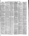 Tower Hamlets Independent and East End Local Advertiser Saturday 14 March 1868 Page 3