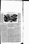 Chepstow Weekly Advertiser Saturday 06 October 1855 Page 3