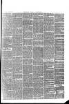 Chepstow Weekly Advertiser Saturday 21 February 1863 Page 3