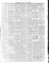 Chepstow Weekly Advertiser Saturday 25 July 1874 Page 3