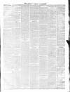 Chepstow Weekly Advertiser Saturday 29 May 1875 Page 3