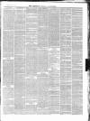 Chepstow Weekly Advertiser Saturday 15 June 1878 Page 3