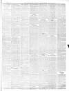 Chepstow Weekly Advertiser Saturday 15 March 1884 Page 3