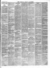 Chepstow Weekly Advertiser Saturday 14 February 1885 Page 3