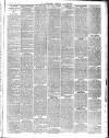 Chepstow Weekly Advertiser Saturday 10 April 1886 Page 3