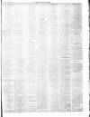 Chepstow Weekly Advertiser Saturday 07 April 1888 Page 3