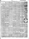 Chepstow Weekly Advertiser Saturday 25 January 1890 Page 3