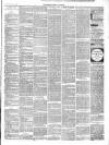 Chepstow Weekly Advertiser Saturday 02 August 1890 Page 3