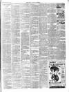 Chepstow Weekly Advertiser Saturday 19 March 1892 Page 3