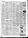 Chepstow Weekly Advertiser Saturday 21 January 1893 Page 3