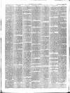 Chepstow Weekly Advertiser Saturday 18 March 1893 Page 4