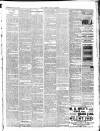 Chepstow Weekly Advertiser Saturday 30 December 1893 Page 3