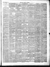 Chepstow Weekly Advertiser Saturday 19 May 1894 Page 3