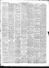 Chepstow Weekly Advertiser Saturday 10 November 1894 Page 2