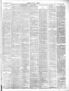 Chepstow Weekly Advertiser Saturday 05 January 1895 Page 3