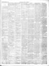 Chepstow Weekly Advertiser Saturday 26 January 1895 Page 3