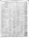 Chepstow Weekly Advertiser Saturday 02 February 1895 Page 3