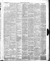 Chepstow Weekly Advertiser Saturday 16 March 1895 Page 3