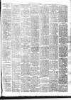 Chepstow Weekly Advertiser Saturday 11 January 1896 Page 3